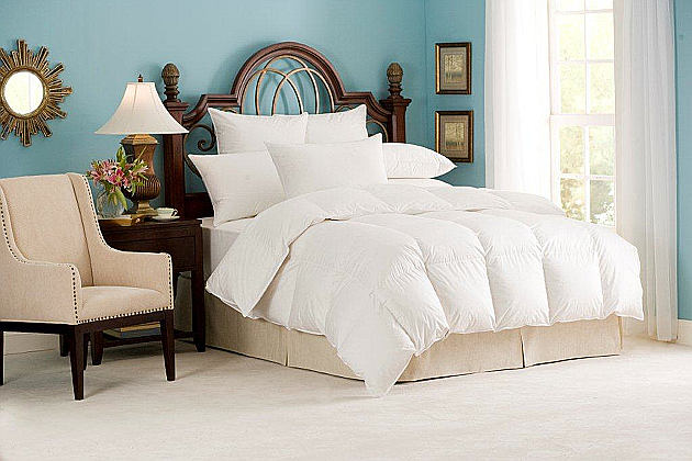 Downright Nirvana 700+ Polish White Goose Down Comforter